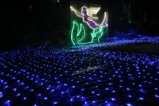 璀璨平凉 三千万盏彩灯编织梦幻光影世界